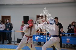 Определены победители Чемпионата МЧС России по рукопашному бою