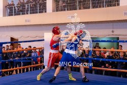 Сегодня прошёл первый открытый чемпионат Академии МЧС России по боксу