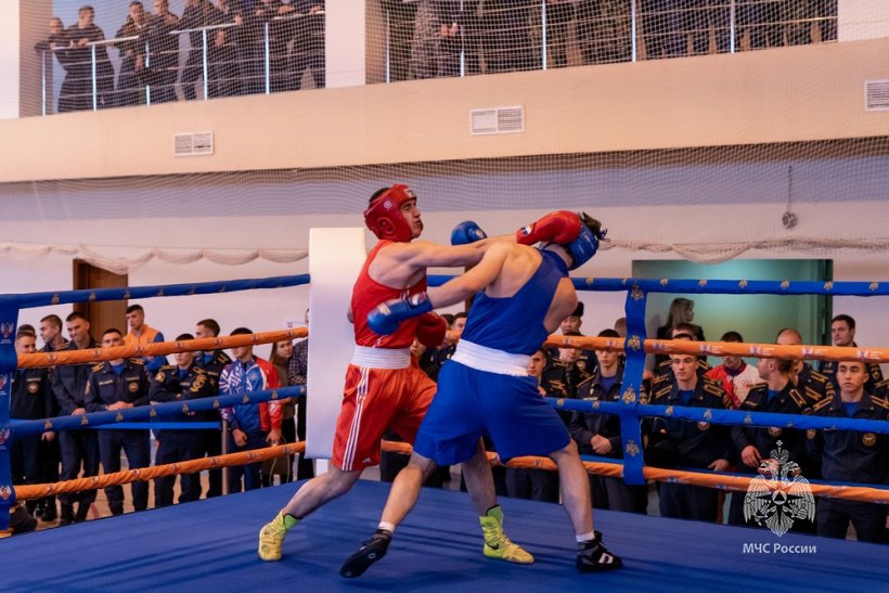 Сегодня прошёл первый открытый чемпионат Академии МЧС России по боксу