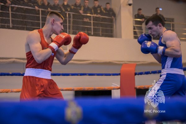 Определены финалисты открытого чемпионата по боксу