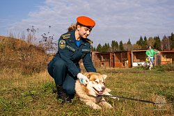 Личный состав Академии посетил фонд помощи бездомным собакам 
