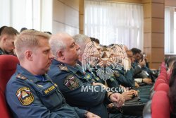 В Академии состоялась XII Научно-практическая конференция «Ройтмановские чтения»