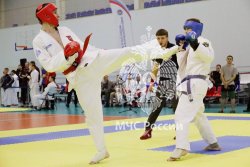 В Подмосковье состоялись соревнования по рукопашному бою, посвященные памяти Героя Российской Федерации Е.Н. Зиничева