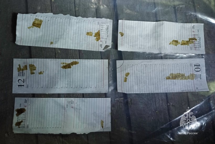 Итоги весенней Вахты Памяти