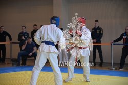 Подведены итоги Чемпионата МЧС России по рукопашному бою среди вузов ведомства 