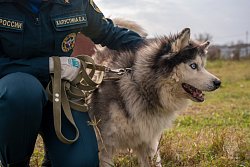 Личный состав Академии посетил фонд помощи бездомным собакам 