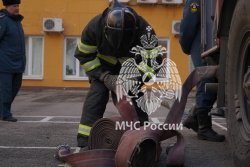 Личный состав Академии принял участие в КШУ