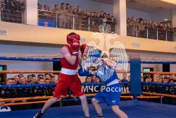 Сегодня прошёл первый открытый чемпионат Академии МЧС России по боксу