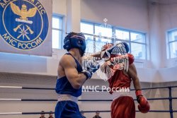 В Академии прошел открытый чемпионат вуза по боксу