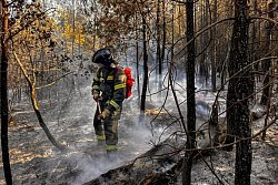 Итоги деятельности УПСЧ Академии