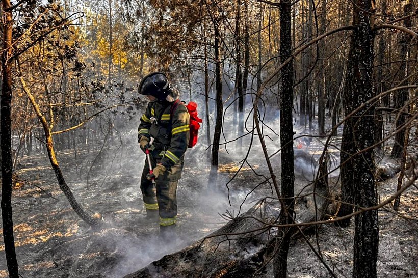 Итоги деятельности УПСЧ Академии