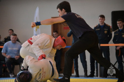 Определены победители Чемпионата МЧС России по рукопашному бою