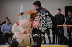 Определены победители Чемпионата МЧС России по рукопашному бою
