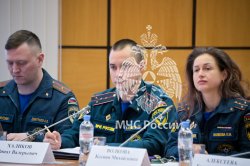 В МЧС России прошло первое заседание Совета молодых ученых