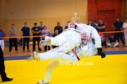 На базе Академии прошел Чемпионата МЧС России по рукопашному бою среди образовательных организаций высшего образования