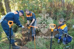 Подведены итоги деятельности поискового отряда «ФИПО-АГПС» в 2024 году