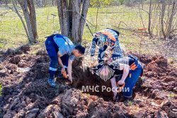  Поисковики Академии подняли останки 29 бойцов Красной армии