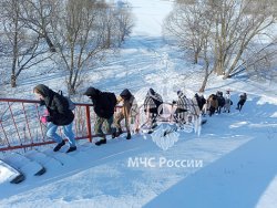 Поисковый отряд Академии совершил ряд зимних походов