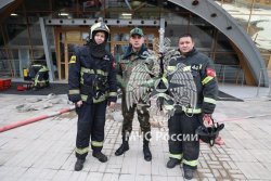 Опыт подмосковных пожарных перенимают иностранцы