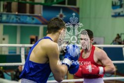 Обучающиеся Академии стали призерами соревнований по боксу 