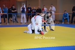 Подведены итоги Чемпионата МЧС России по рукопашному бою среди вузов ведомства 