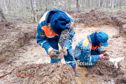  Поисковики Академии подняли останки 29 бойцов Красной армии