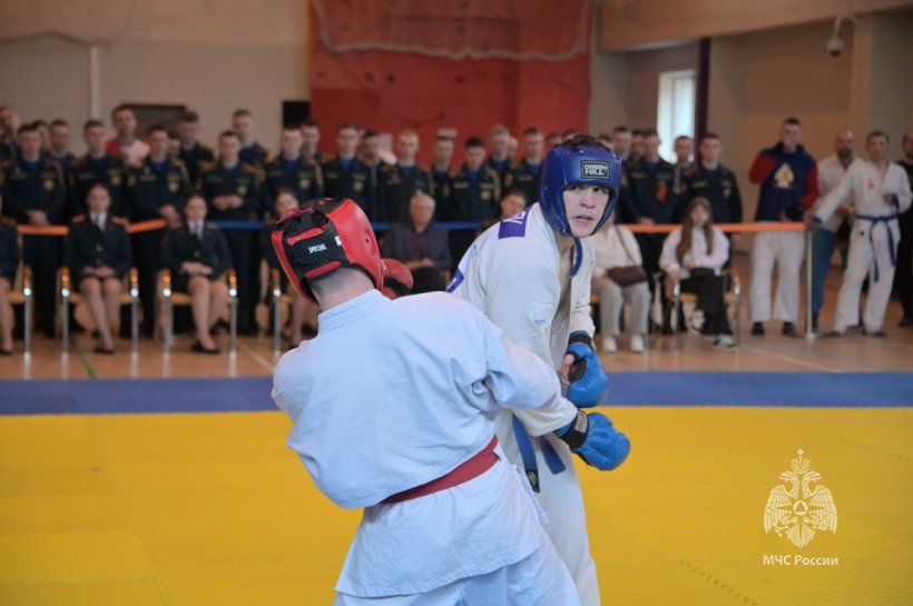 Определены победители Чемпионата МЧС России по рукопашному бою
