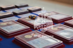 Поисковикам отряда «ФИПО-АГПС» была вручена высокая общественная награда