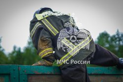 Сила. Скорость. Выносливость