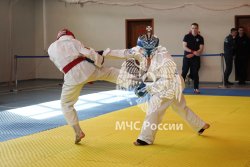 Подведены итоги Чемпионата МЧС России по рукопашному бою среди вузов ведомства 