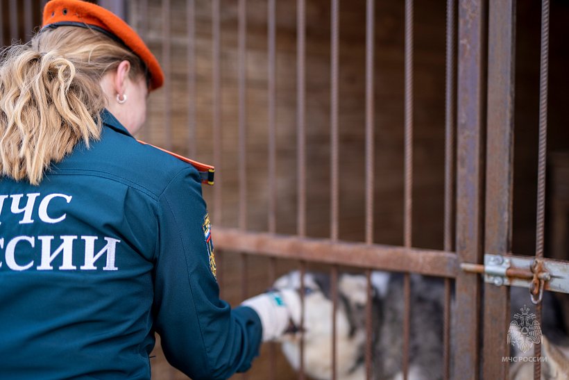 Личный состав Академии посетил фонд помощи бездомным собакам 