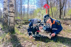  Поисковики Академии подняли останки 29 бойцов Красной армии