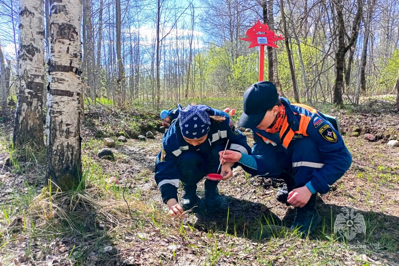  Поисковики Академии подняли останки 29 бойцов Красной армии