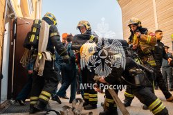 В Академии прошли пожарно-тактические учения