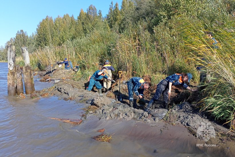 Подведены итоги осенней Вахты Памяти 