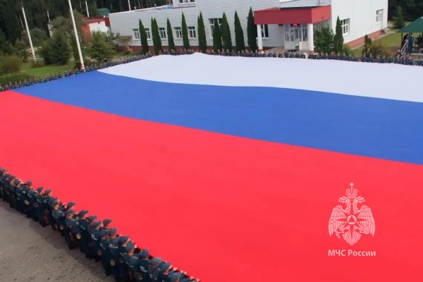 Под флагом единой страны