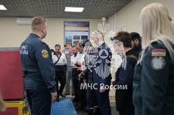 Иностранные спасатели обучились в МЧС России использованию программы для международной координации спасательных операций