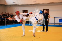 Определены победители чемпионата МЧС России по рукопашному бою