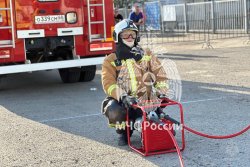 Будущее МЧС России в надежных руках