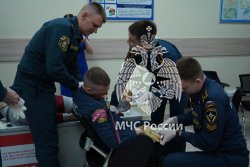 В Академии ГПС МЧС России прошли соревнования по оказанию первой помощи в условиях чрезвычайных ситуаций