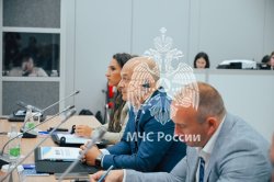 В Казани обсудили трансформацию системы подготовки пожарных и спасателей стран МОГО