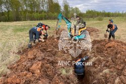 Итоги весенней Вахты Памяти