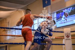 Определены финалисты открытого чемпионата по боксу
