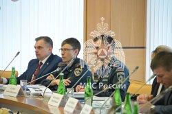 На базе Академии прошло заседание учебно-методического совета МЧС России под председательством заместителя директора Департамента образовательной и научно-технической деятельности МЧС России Виталия Штаймеца.