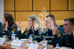 В МЧС России прошло первое заседание Совета молодых ученых