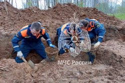 Итоги весенней Вахты Памяти