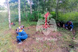 В Тверской области состоялось перезахоронение 413 красноармейцев при участии отряда «ФИПО-АГПС»
