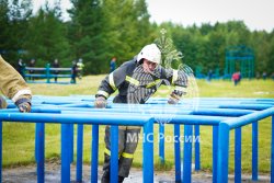 Сила. Скорость. Выносливость