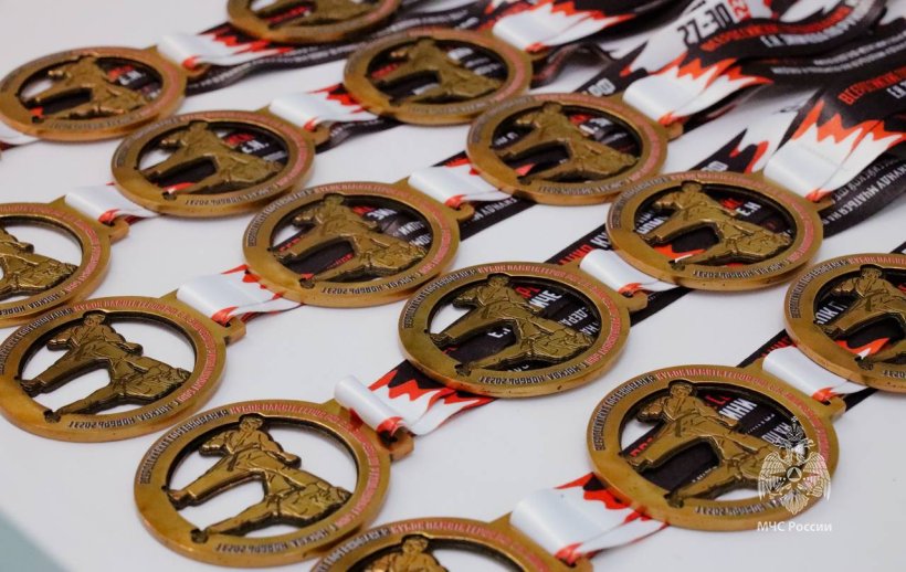 В Подмосковье состоялись соревнования по рукопашному бою, посвященные памяти Героя Российской Федерации Е.Н. Зиничева