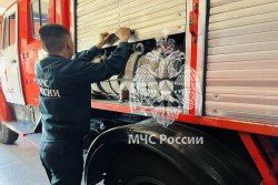 У курсантов Академии началась производственная практика 